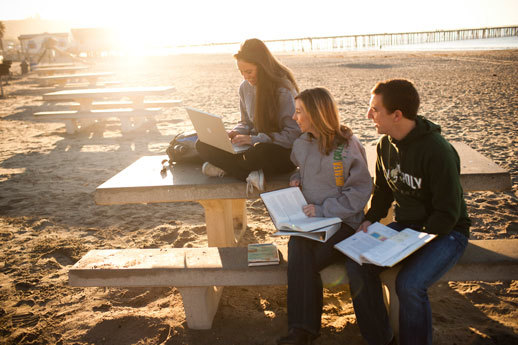 Studying on the beach
